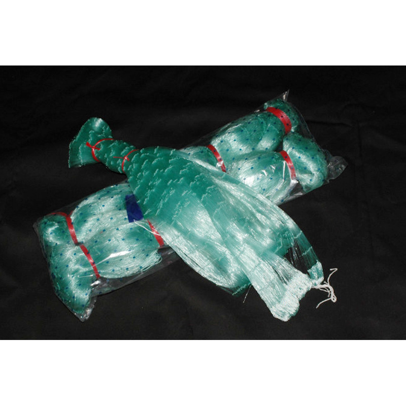 Hairtail Net